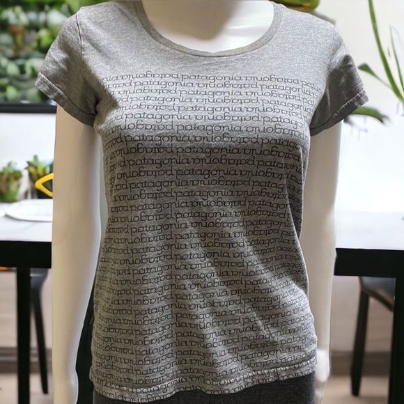 Patagonia Short Sleeve T-shirt Gray Small - Picture 1 of 3
